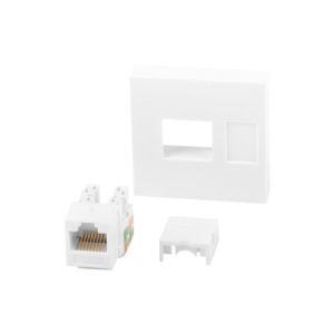 Lanberg WS-4545-RJ45K-W placa de pared y cubierta de interruptor Blanco