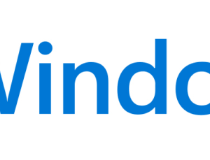 Microsoft Windows 11 Home 1 licencia(s)