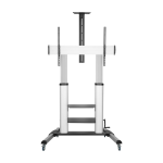 AISENS FT100TE-125 soporte para pantalla de señalización 2,54 m (100") Negro, Plata