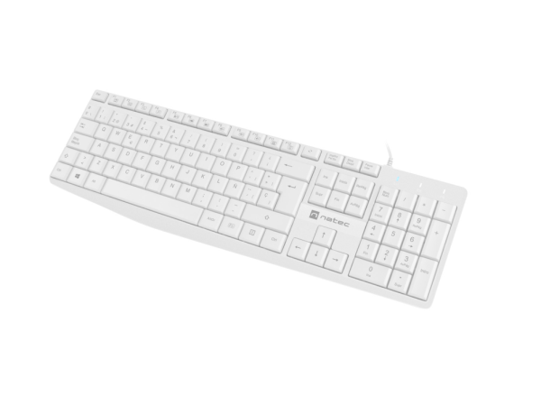 NATEC NKL-1949 teclado Universal USB QWERTY Español Blanco