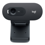 Logitech C505e cámara web 1280 x 720 Pixeles USB Negro